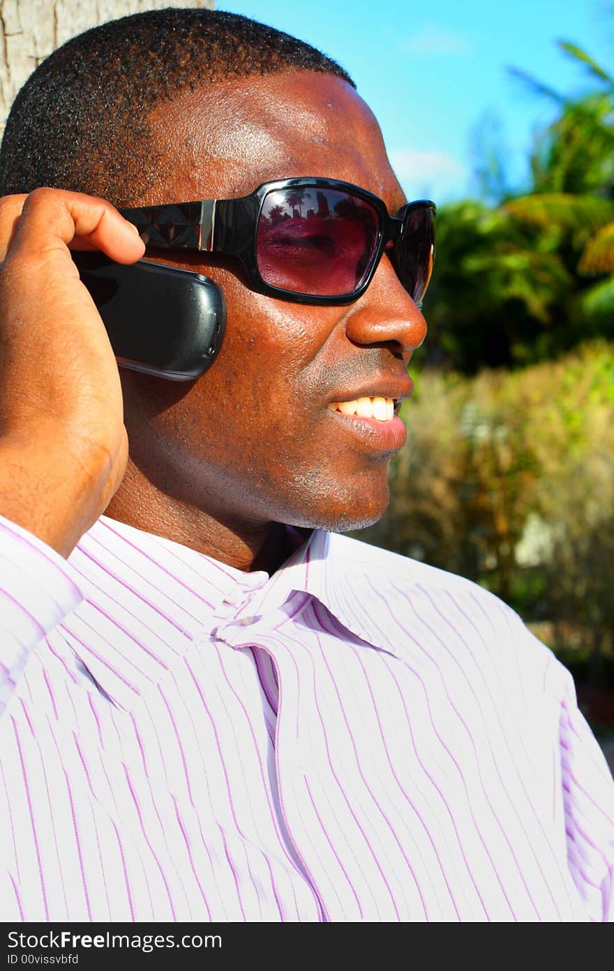 Attractive young businessman on the phone. Attractive young businessman on the phone.