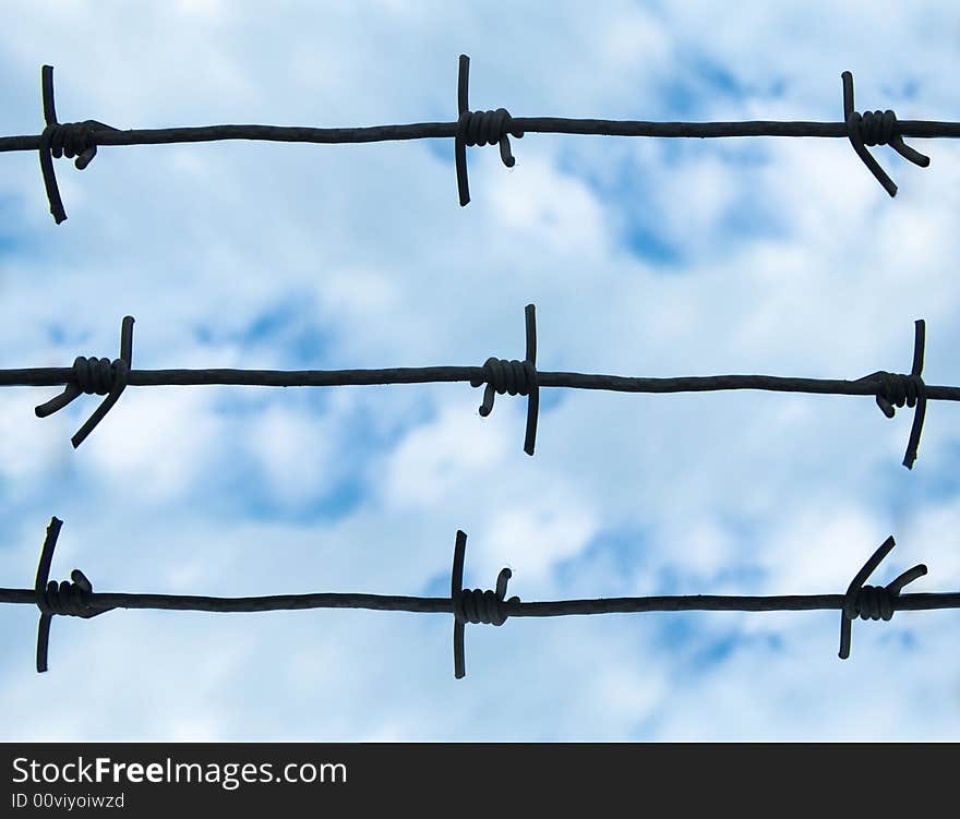 Barbed wire on sky background