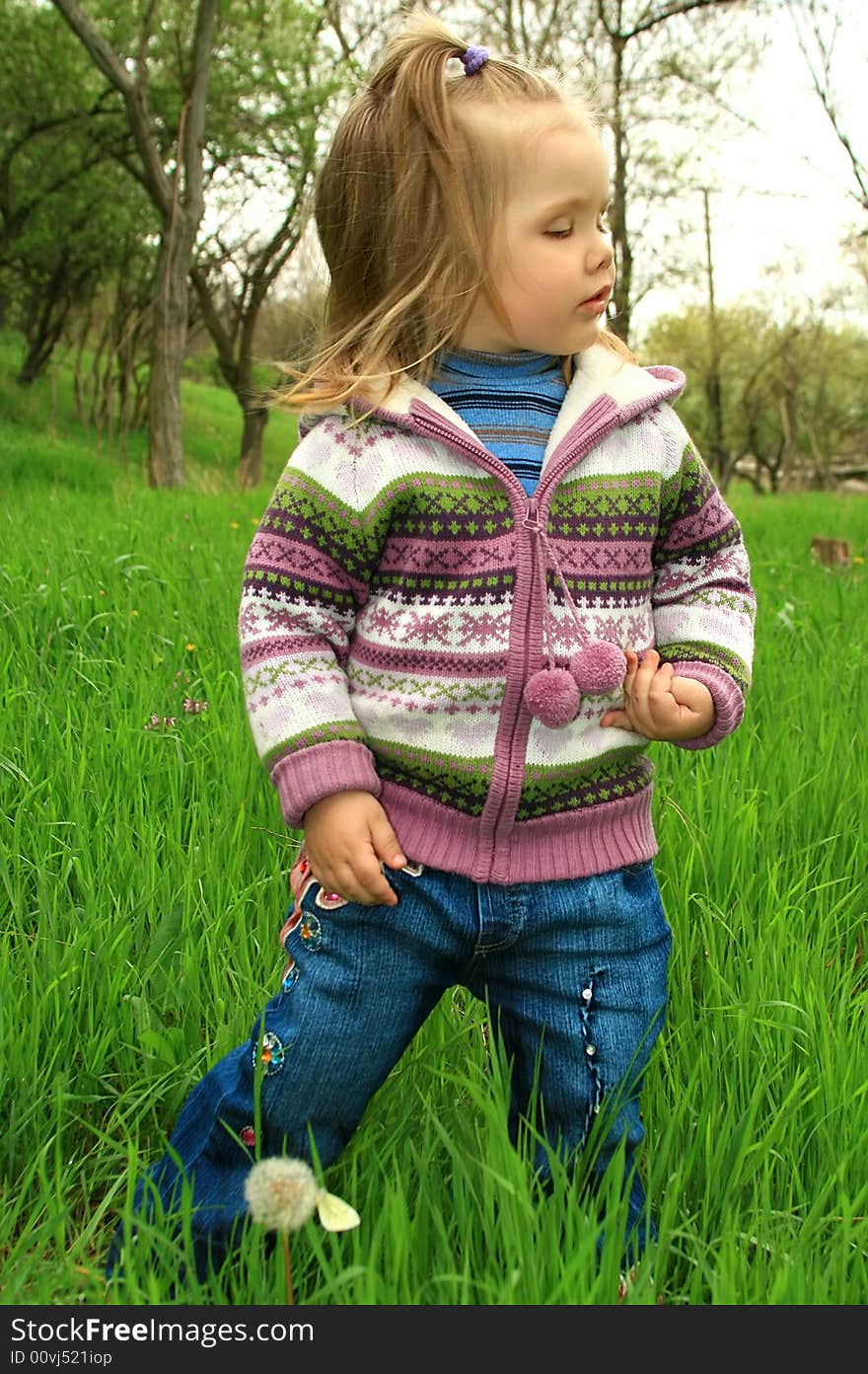 Little girl walks in the spring on a young grass