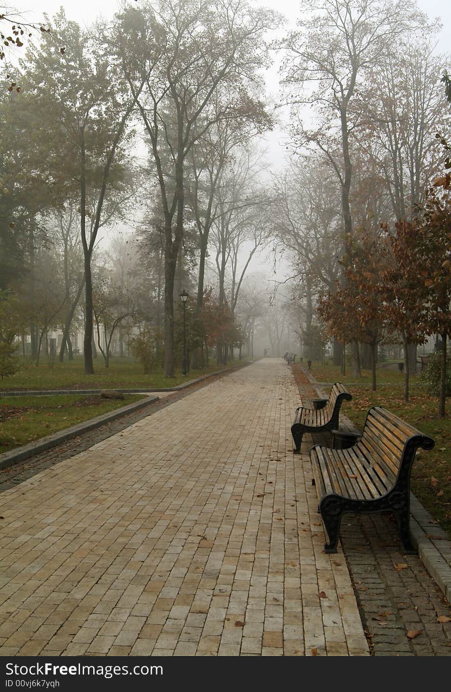 Autumn Morning In Park