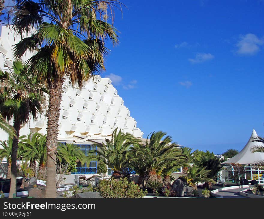 SPA resort on the Lanzarote. a park area with palms and tropical nature. SPA resort on the Lanzarote. a park area with palms and tropical nature