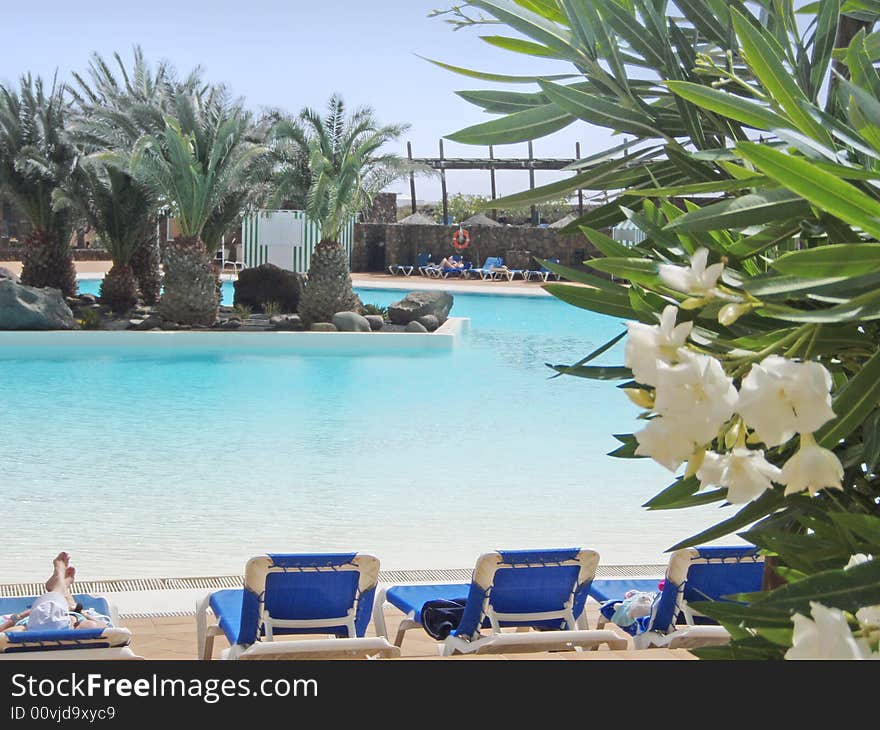 View with white flowers in the pool area. View with white flowers in the pool area