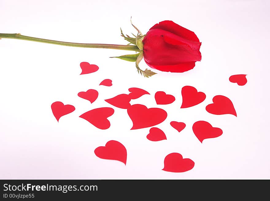 red rose petals look like valentine heart. red rose petals look like valentine heart