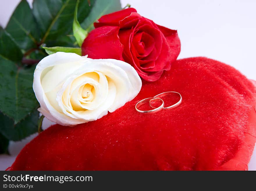 Red and white roses with two wedding rings on the pillow in form of heart. Red and white roses with two wedding rings on the pillow in form of heart