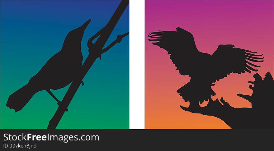 Bird silhouette vector illustration