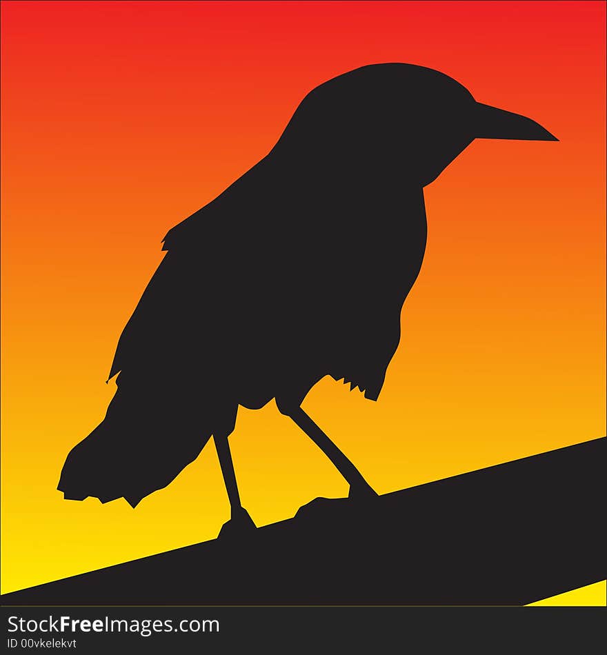 Bird Silhouette  Illustration