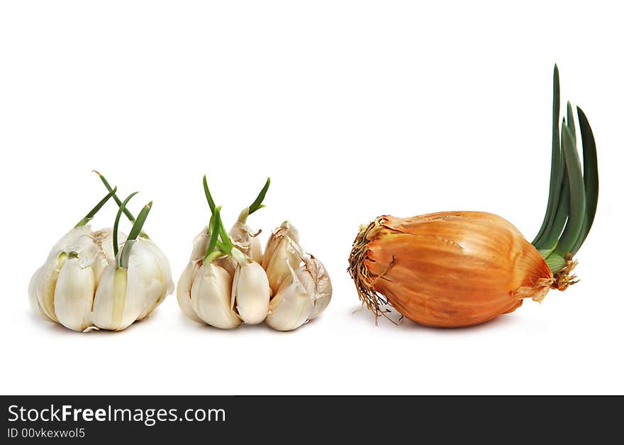 Bulbs of garlic and onion on white background