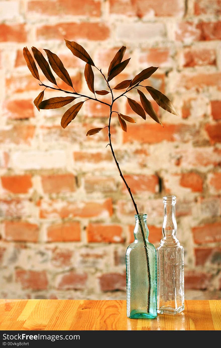 Glass bottles with dry delicate twig on brick wall background. Glass bottles with dry delicate twig on brick wall background