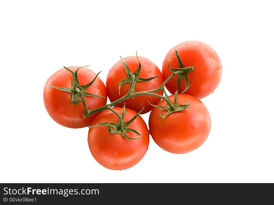 Tomato branch