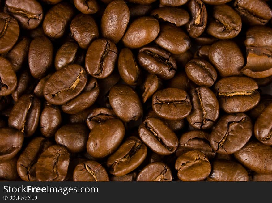 Close up picture of coffee beans