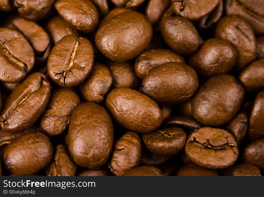 Close up pictures of coffee beans