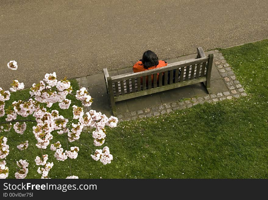 Bench in a park