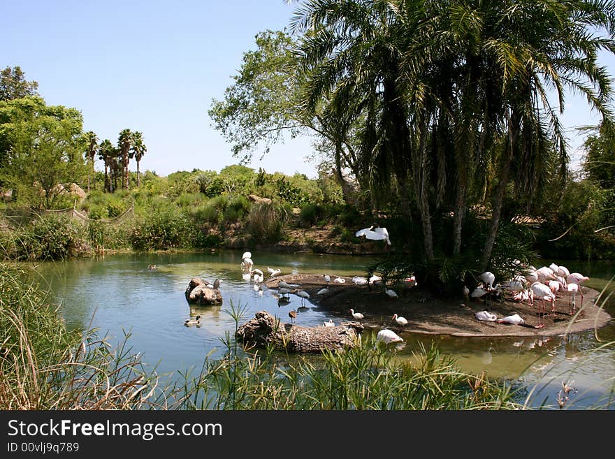 Pink flamingos under the shade of palm trees.