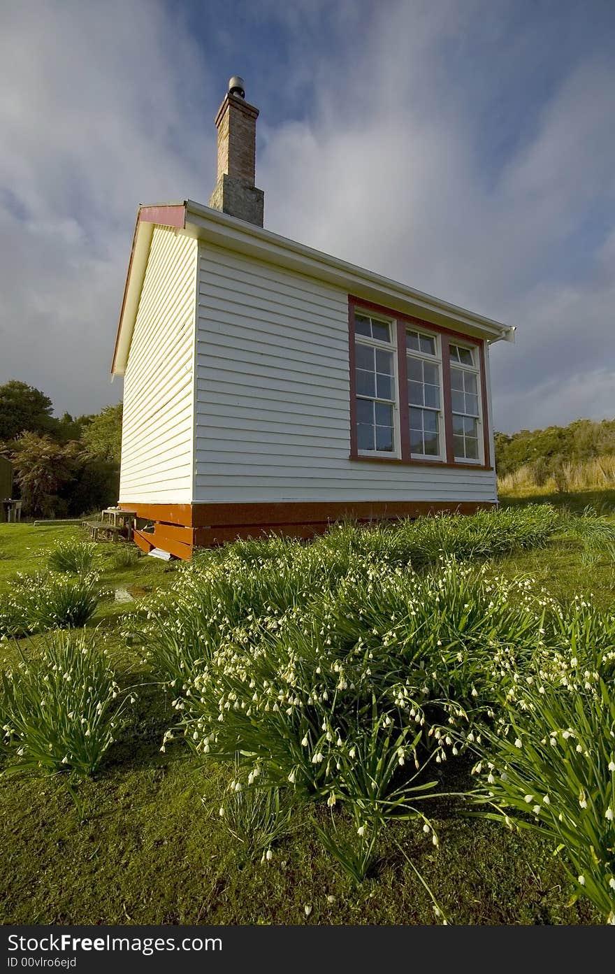 Historic school house with white flowers in foreground, South Coast, New Zealand