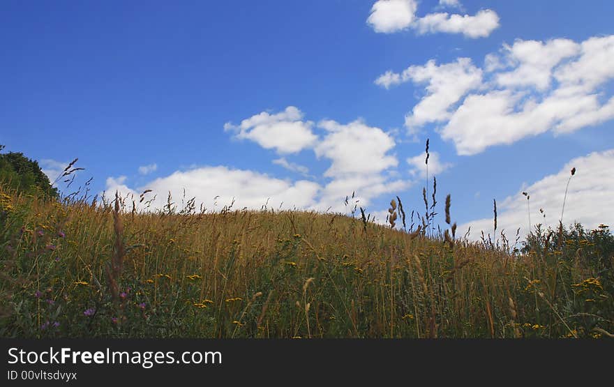 Summer landscape and blue sky