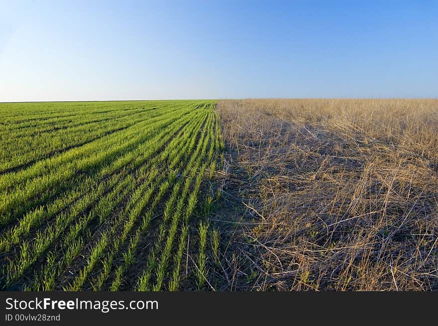 Two-coloured field