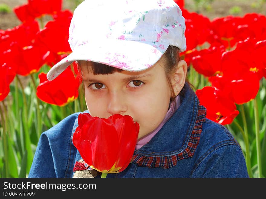 Pretty child smell red tulip. Pretty child smell red tulip