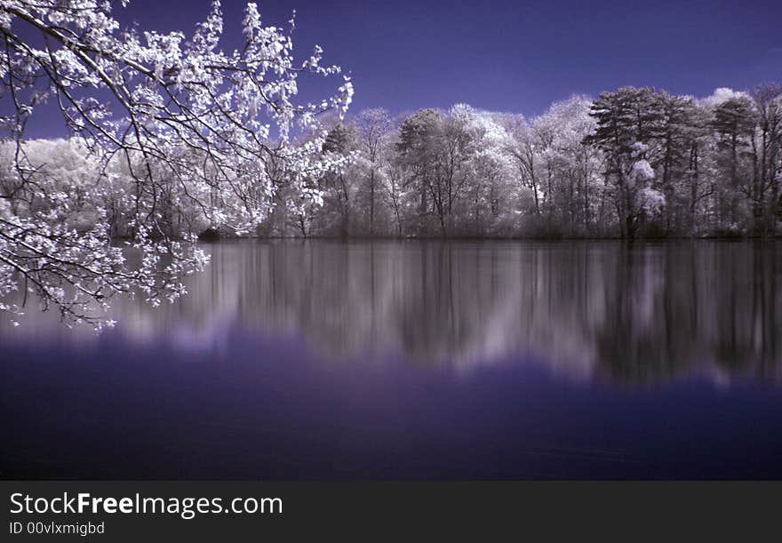 A lake in Austria in infrared light. A lake in Austria in infrared light