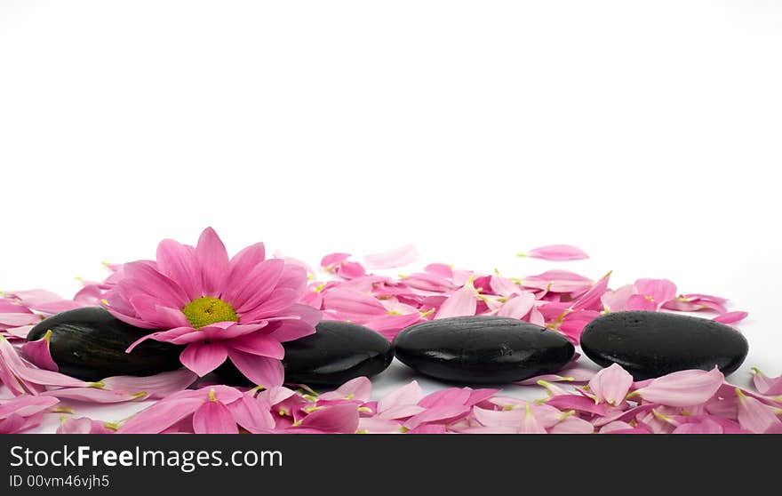 A row of black stones for SPA and petal. A row of black stones for SPA and petal