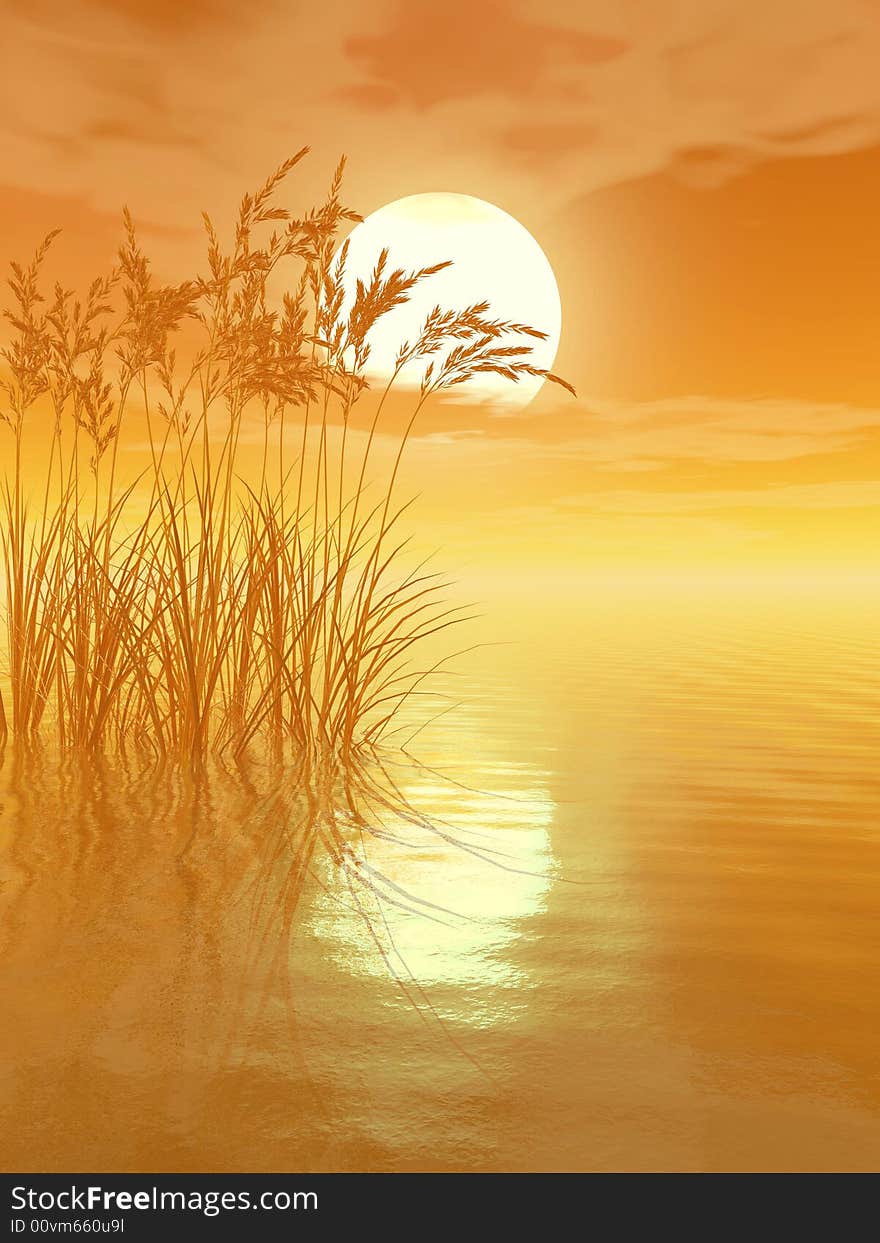 Water plants on a sea sunset  background  -  3D scene. Water plants on a sea sunset  background  -  3D scene.