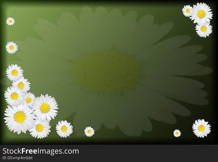 Daisy wish on green background