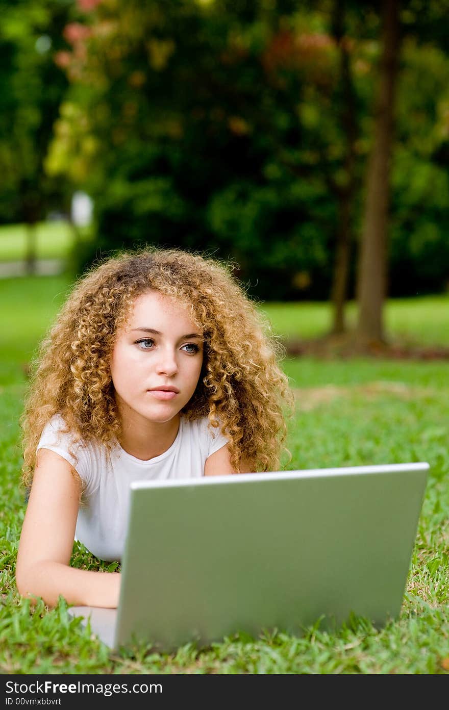 A young attractive woman using laptop in the park. A young attractive woman using laptop in the park