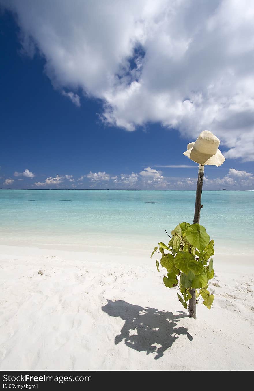 Hat On Tropical Beach