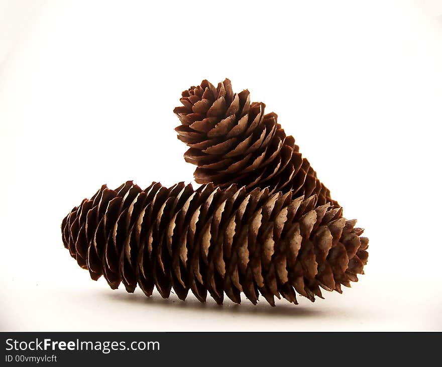 Two Pinecones