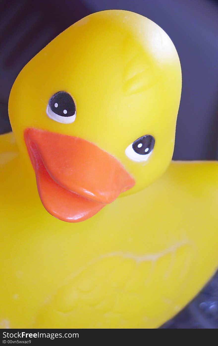 A bright yellow rubber duck toy, shot in portrait style close-up over a dark blue background. A bright yellow rubber duck toy, shot in portrait style close-up over a dark blue background.