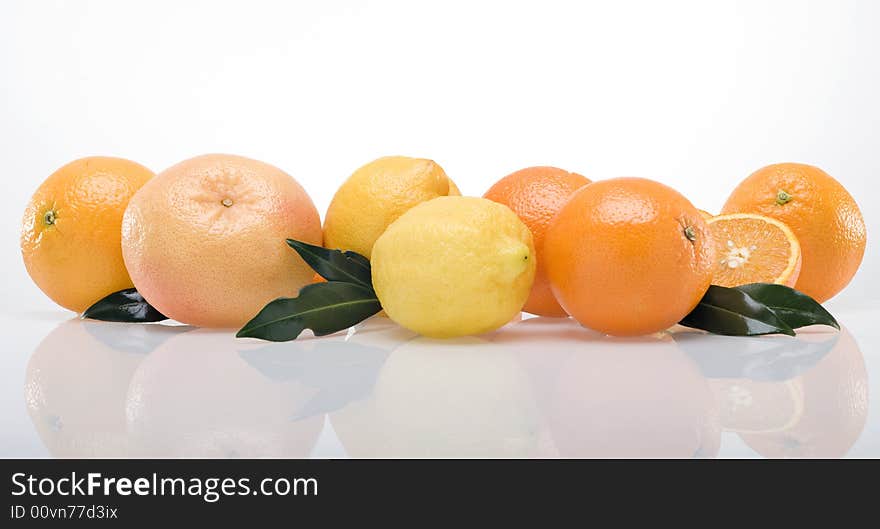 Band of fruits on white background