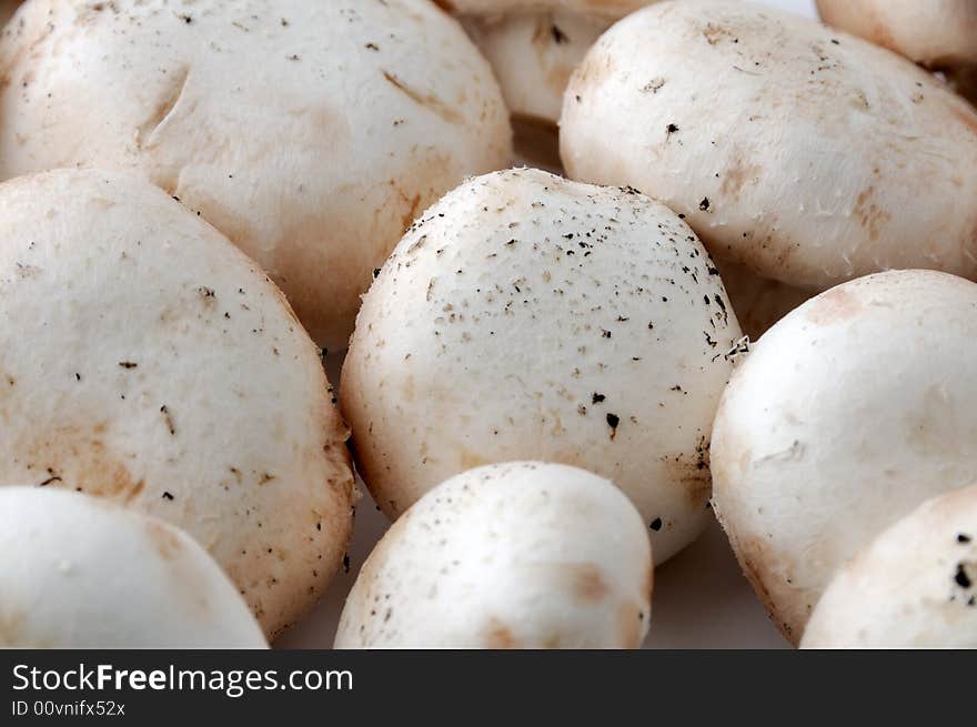 Close-up of mushrooms, raw food before cooking