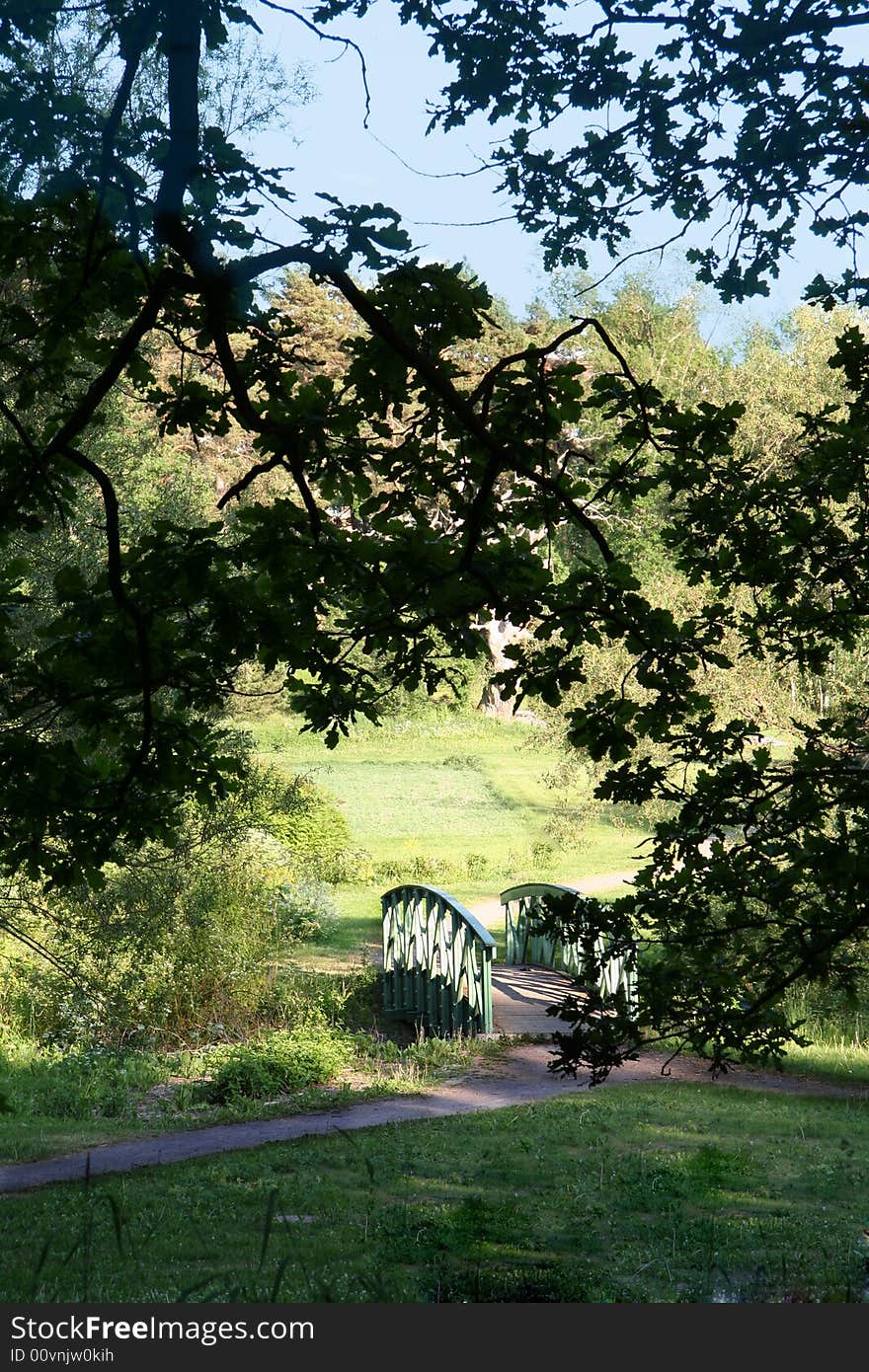 A small bridge over a small watertrail.