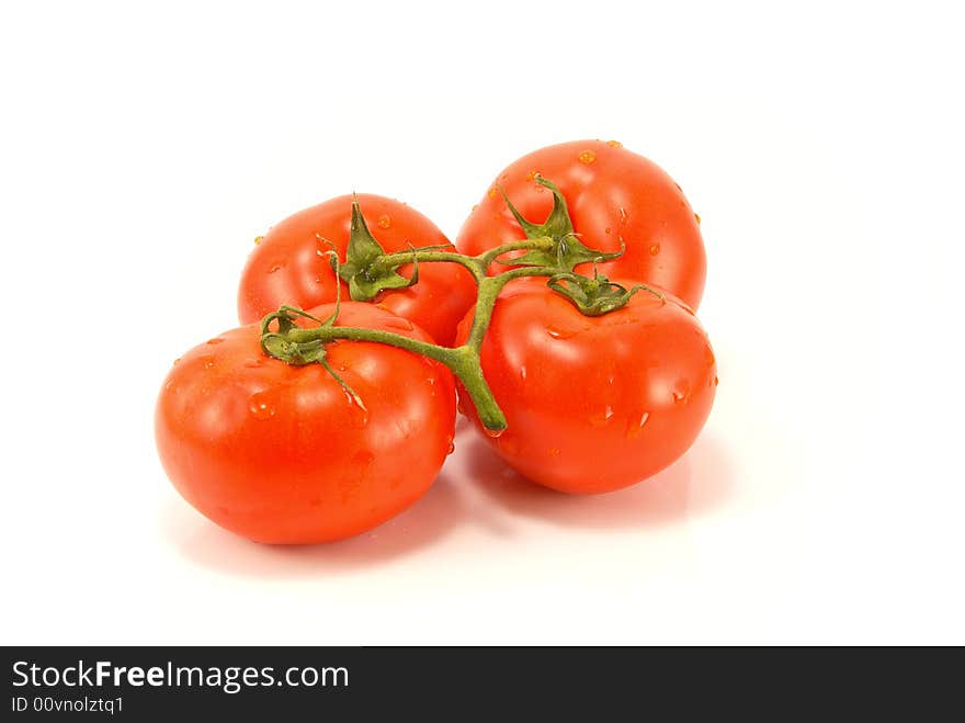 Fresh tomatoes with stem and water drops