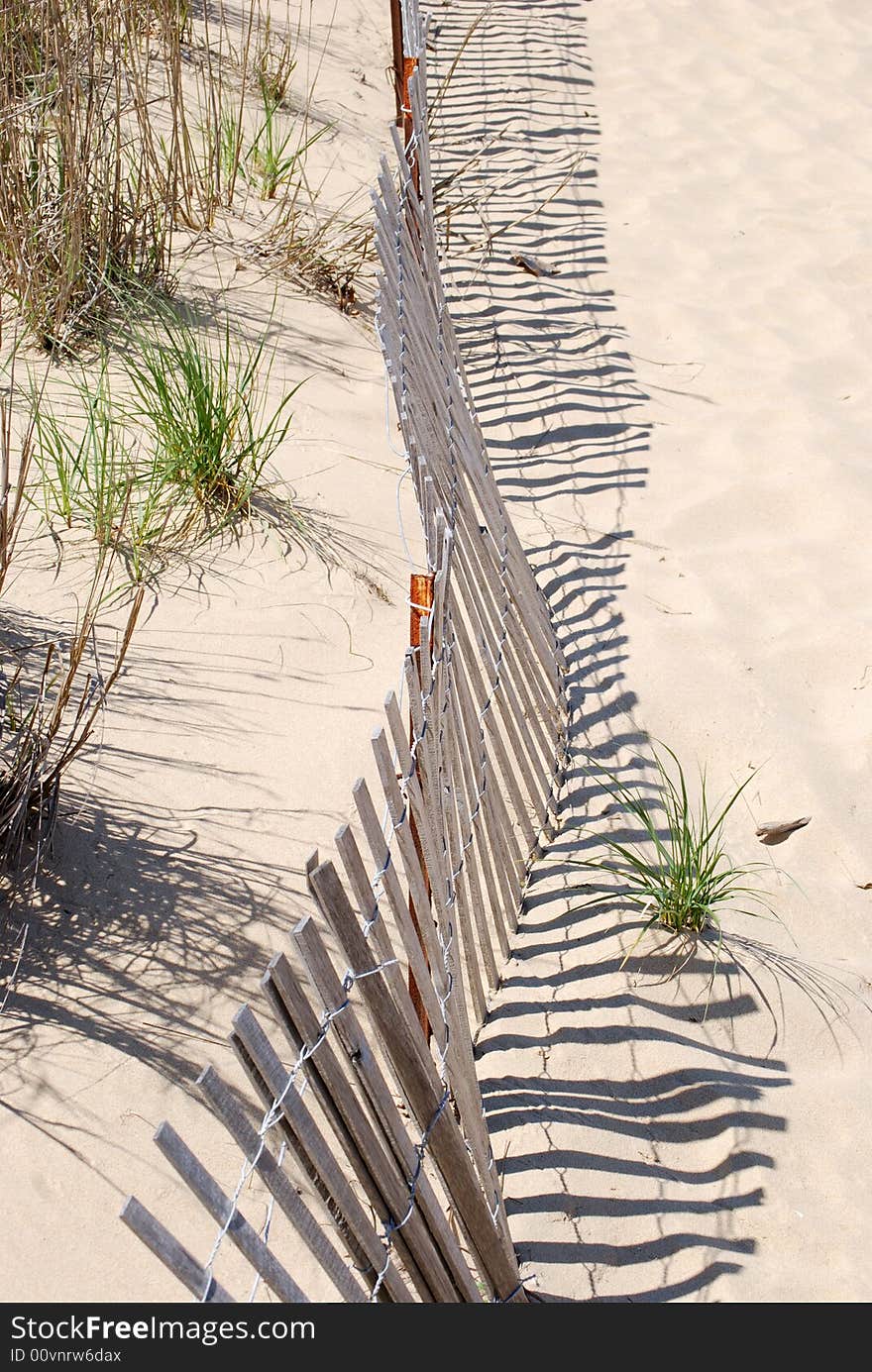 Protected dunes