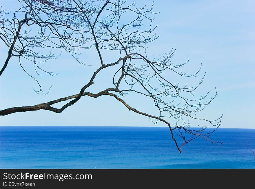 View from top of a cliff over looking a lake with some tree branches in the view. View from top of a cliff over looking a lake with some tree branches in the view