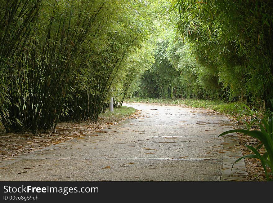 Alley and bamboo,south of china