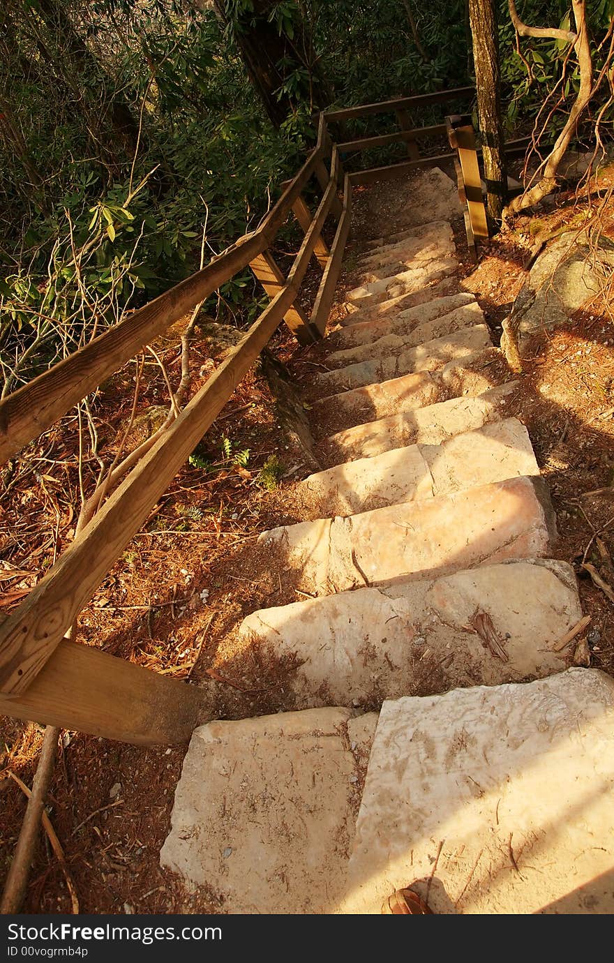 A stair case in the woods that leads downward with a railing. A stair case in the woods that leads downward with a railing.