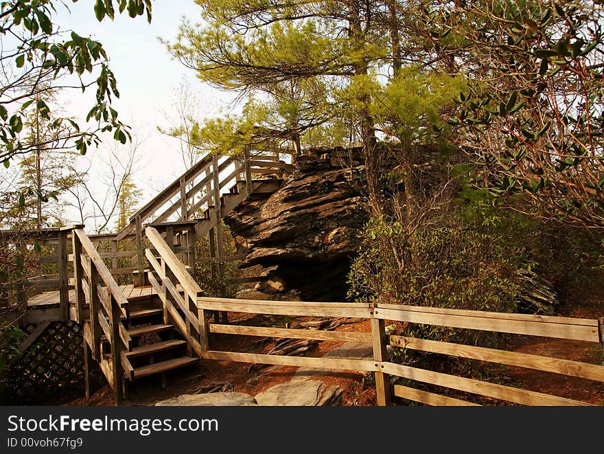 Stair steps in nature forest