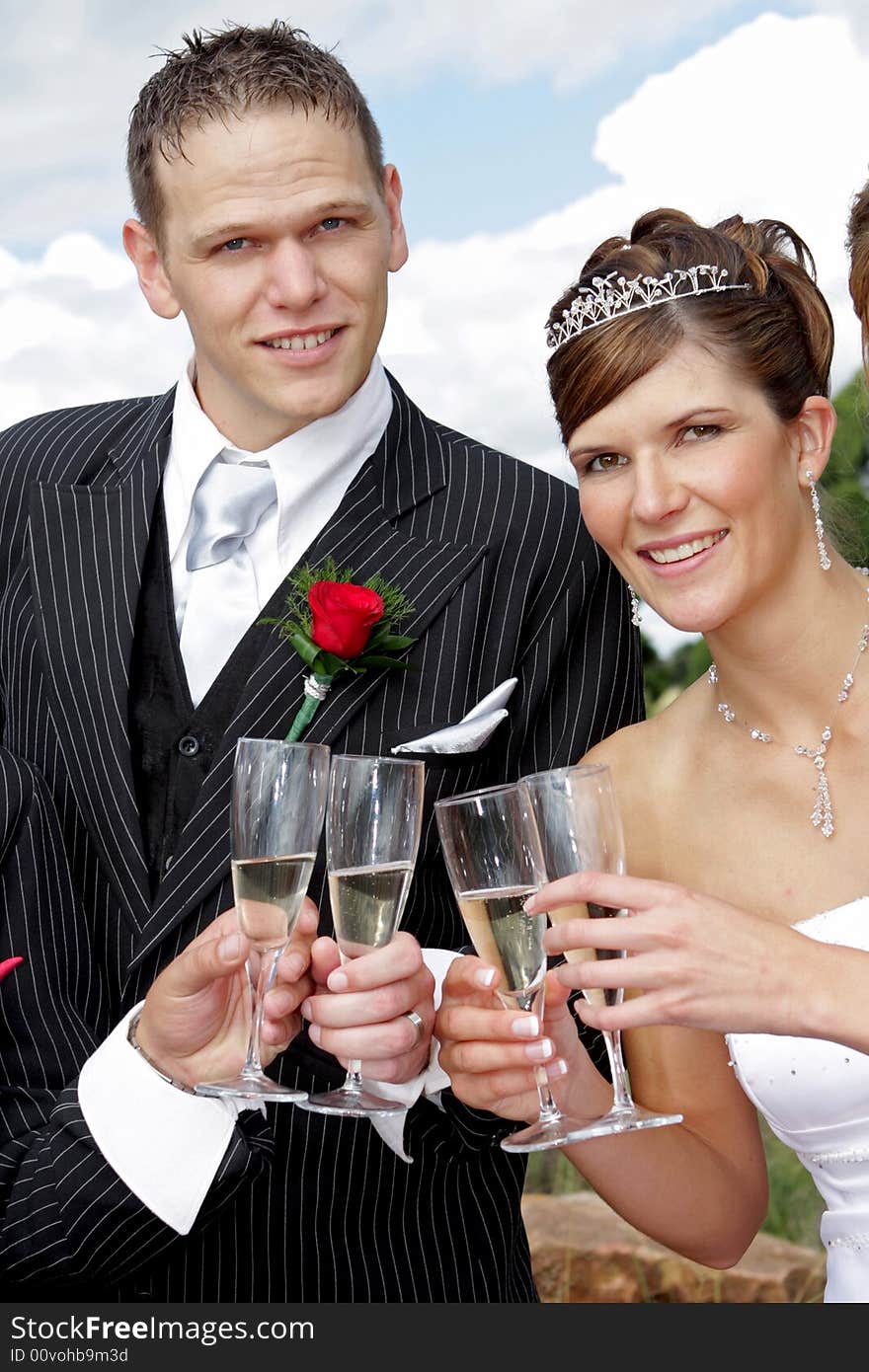 A wedding couple making a toast with friends. A wedding couple making a toast with friends