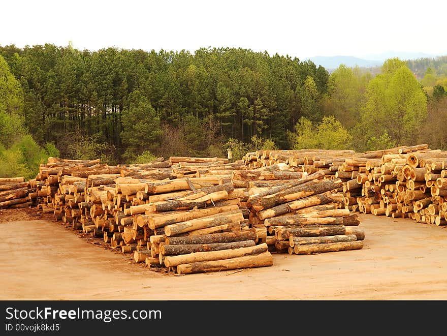 Lumberyard with stacks of logs