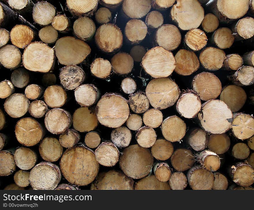 Pile of logs, viewed from the side. Pile of logs, viewed from the side