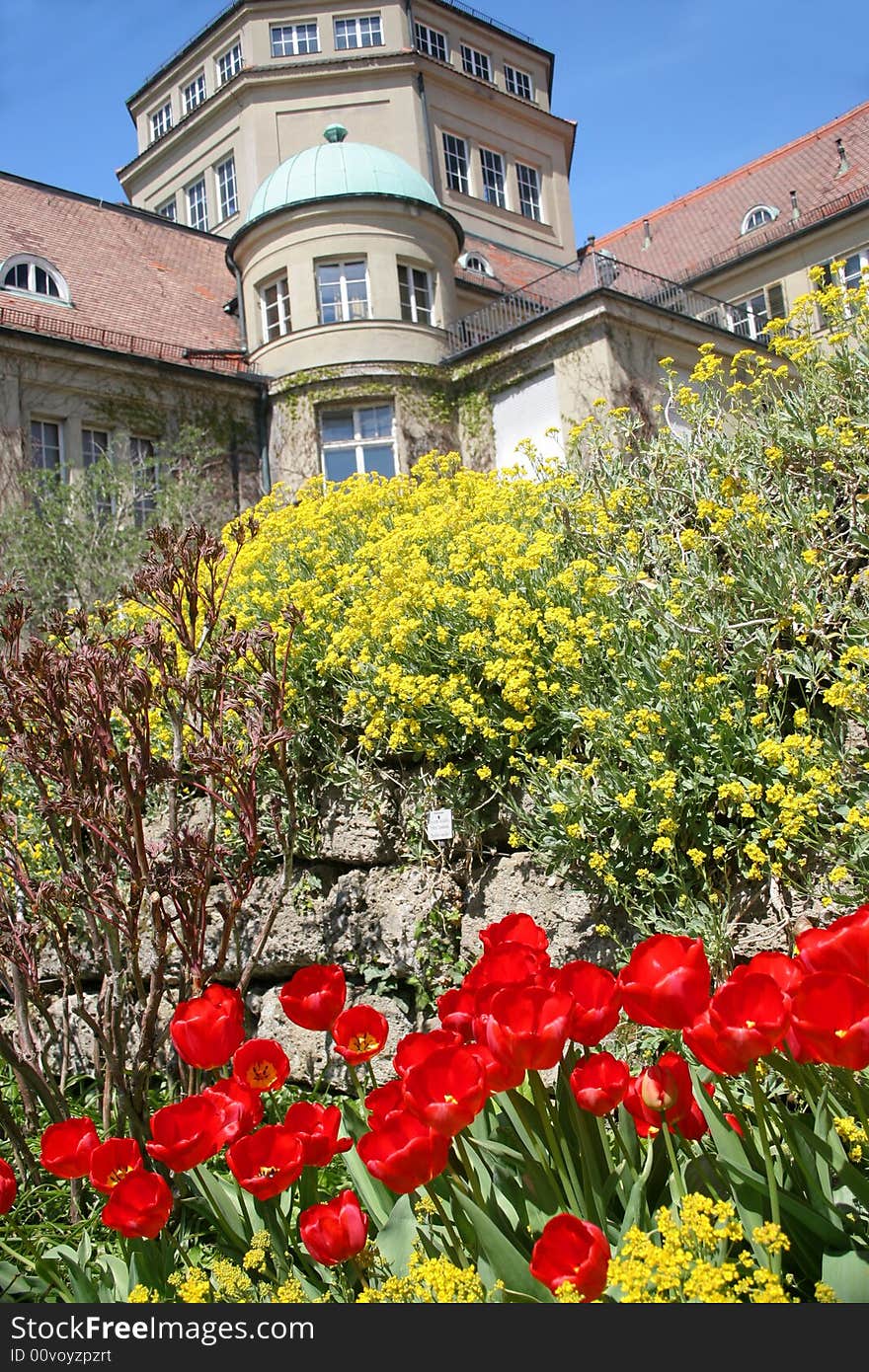 Botanischer Garten