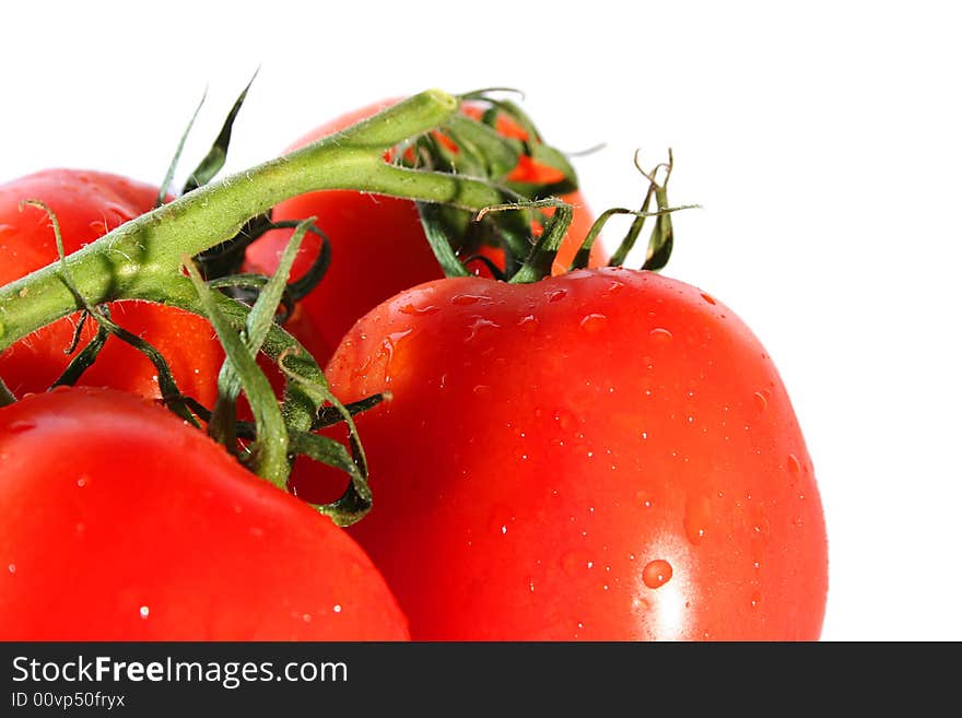 Fresh red tomatoes isolated on white background. Fresh red tomatoes isolated on white background