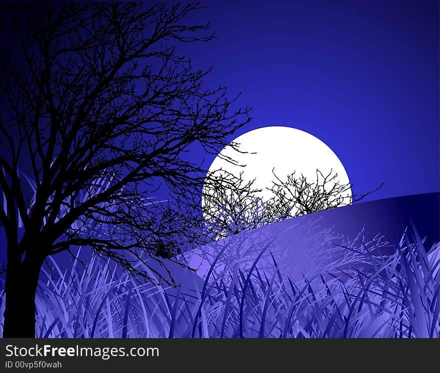 Night landscape, vector illustration. Look for more great images in my portfolio.