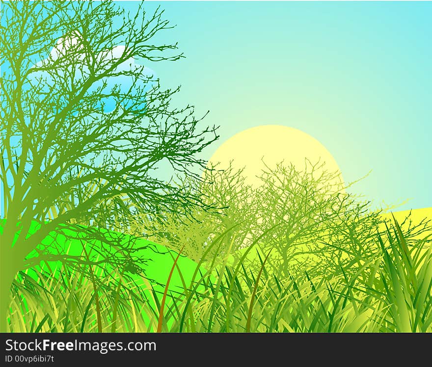 Spring landscape with green grass and blue sky, vector illustration. Look for more great images in my portfolio.