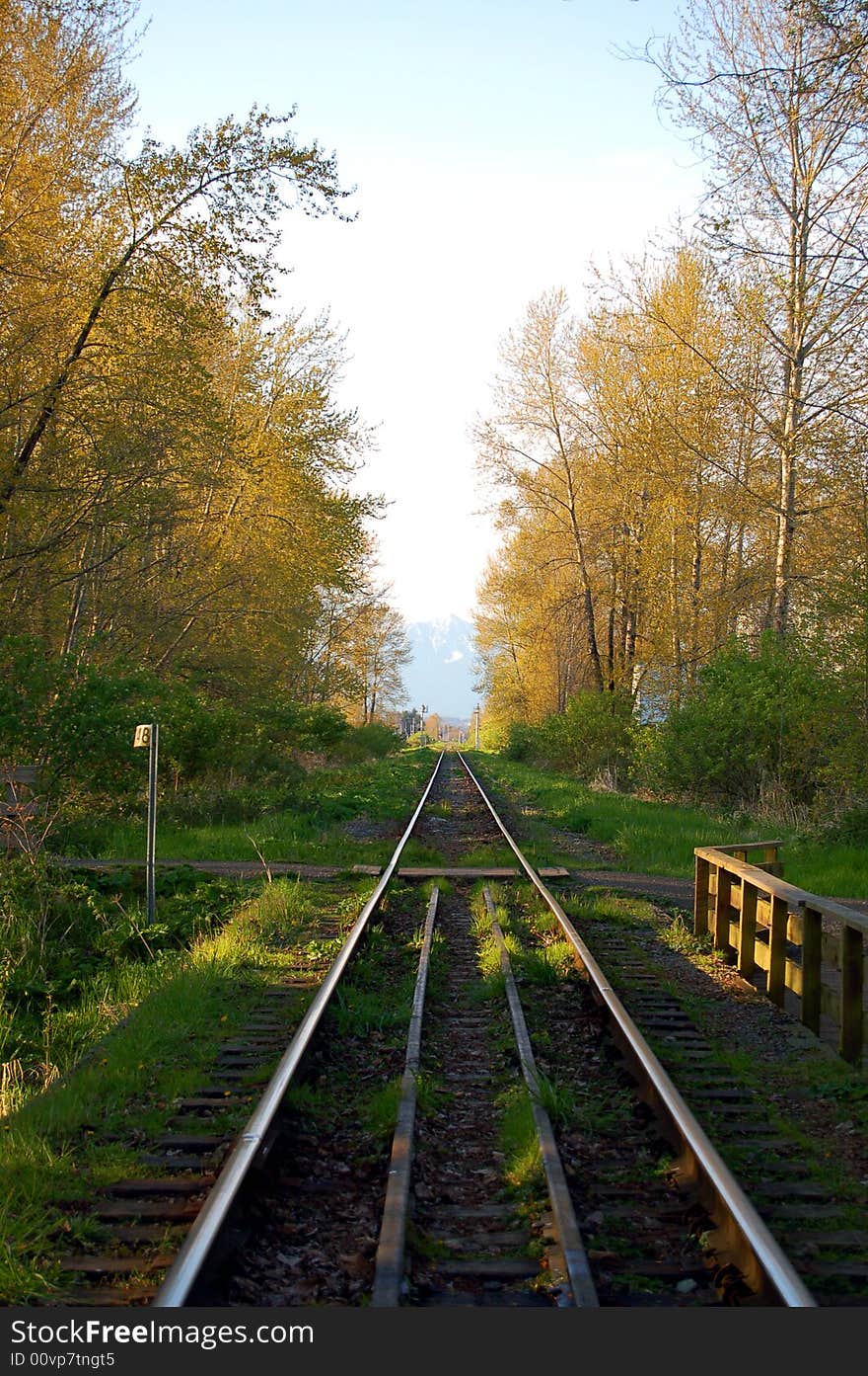 Railway racks in spring