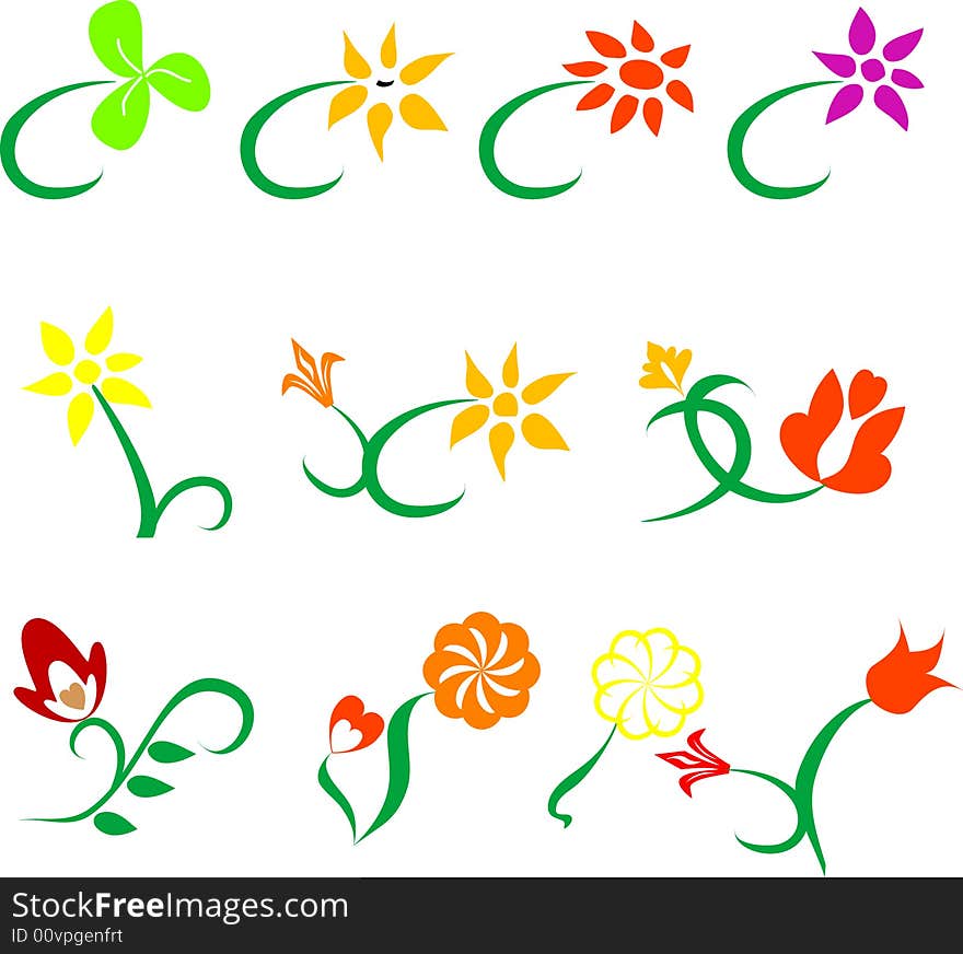 Floral design elements vector illustration