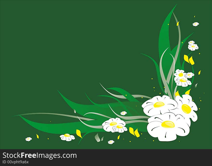 White camomile on the green  abstrackt background. White camomile on the green  abstrackt background