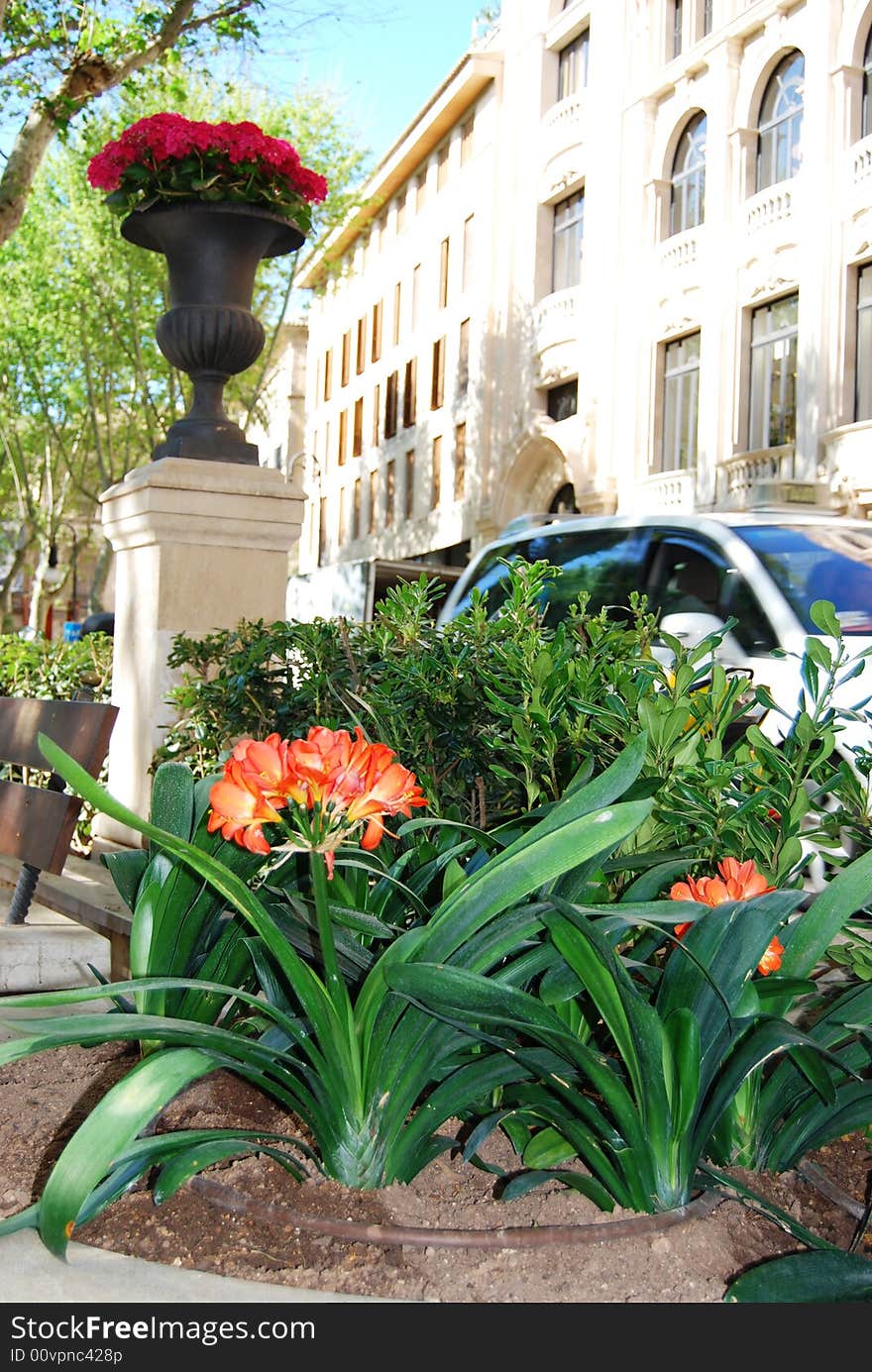 Pedestrian street in Majorca