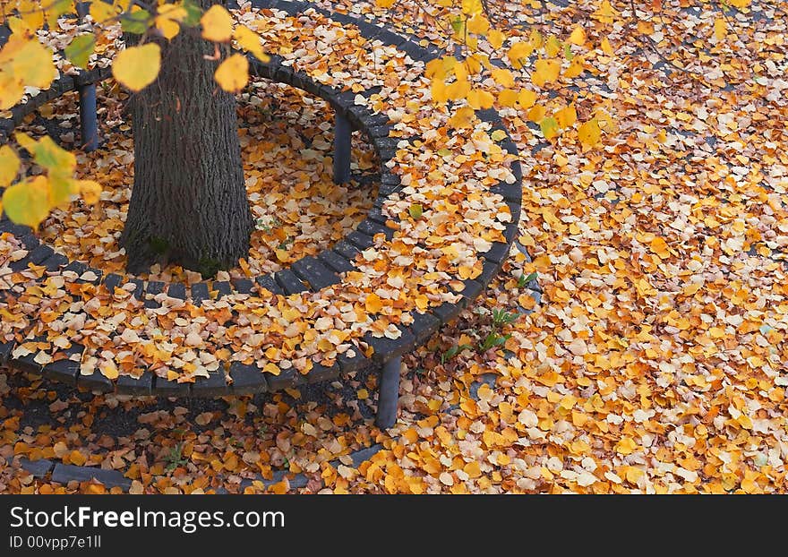 Round bench in the park covered with leaves. Round bench in the park covered with leaves